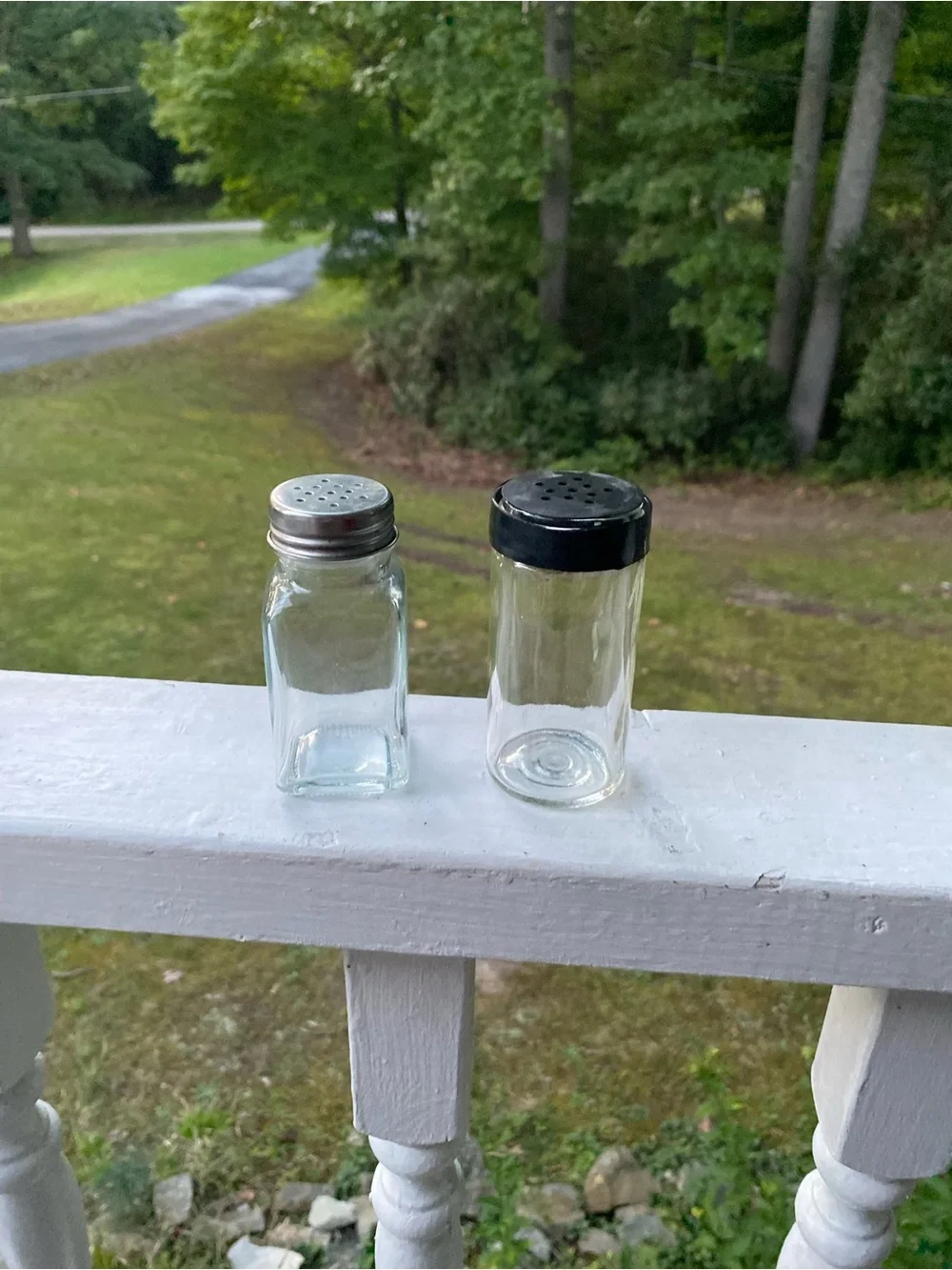 Glass Clear Salt & Pepper Shaker Set (2)